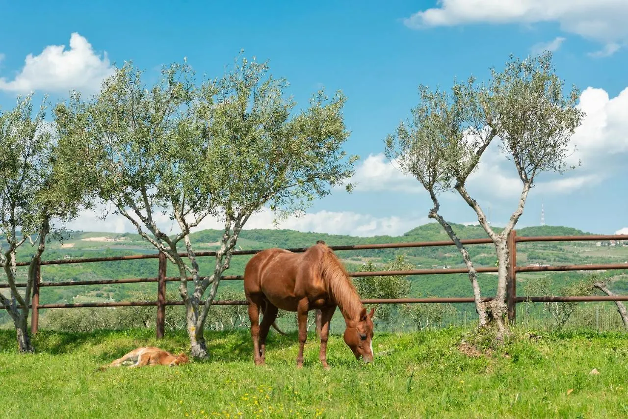 Sporting Hotel San Felice Illasi